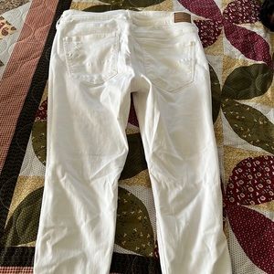 Brand new AE pants